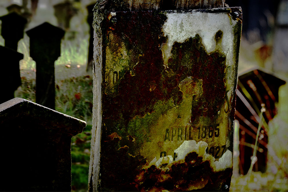 field-of-rusty-dreams