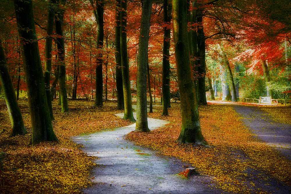 herfstpad