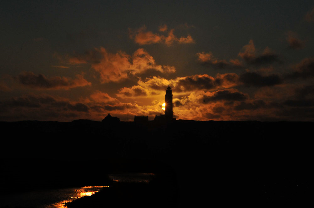 texel