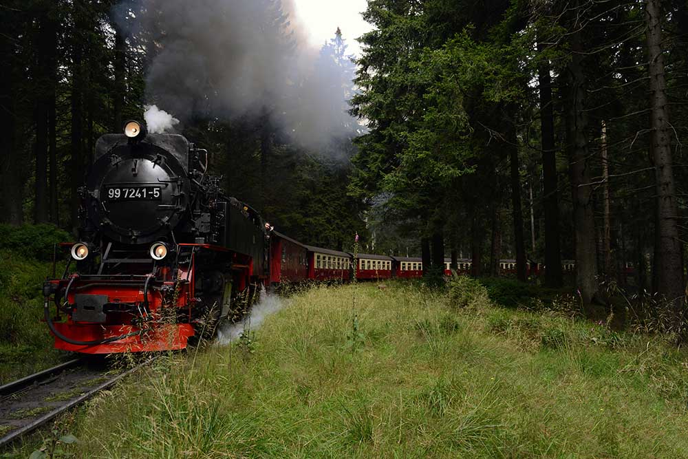 treinbocht
