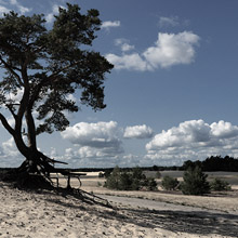 beekhuizerzand