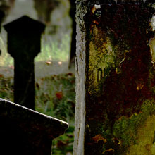 field-of-rusty-dreams