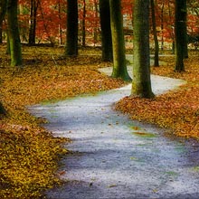 herfstpad